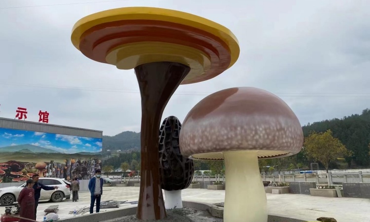 广元食用菌基地
