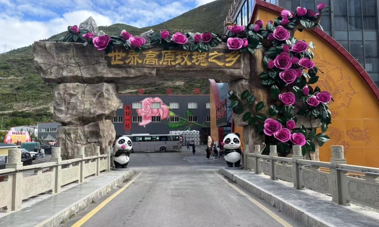 四姑娘山玫瑰基地